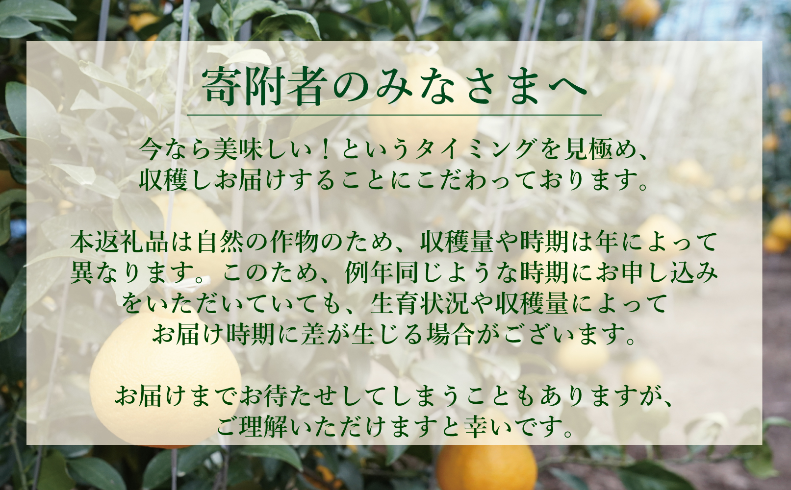 B26-16ハウスデコポン3㎏