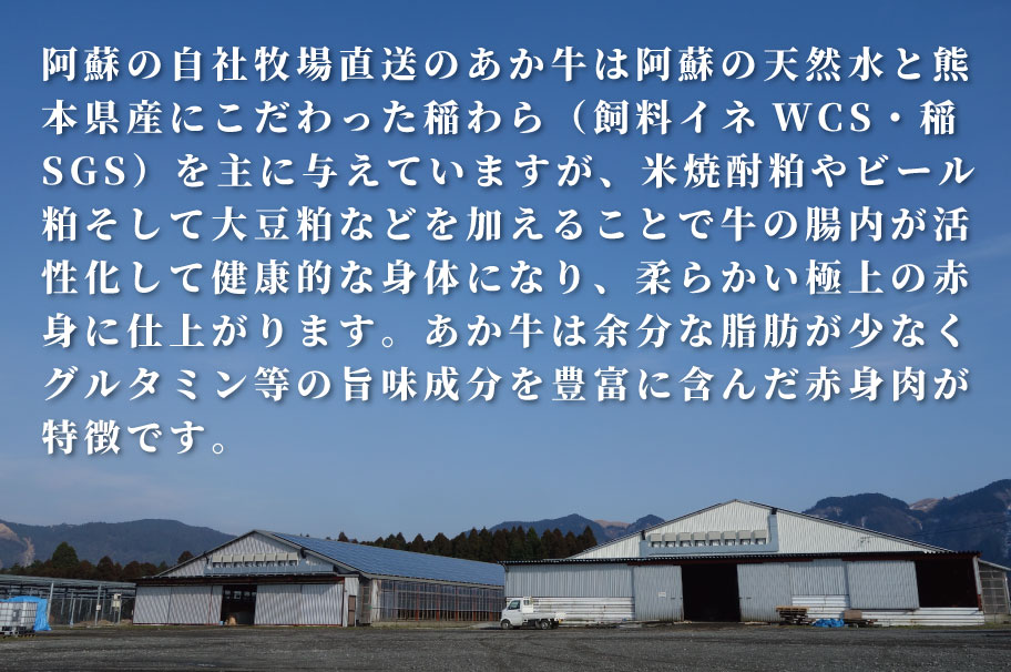 B315-28 あか牛サーロインステーキ（あか牛サーロインステーキ200g×2枚）