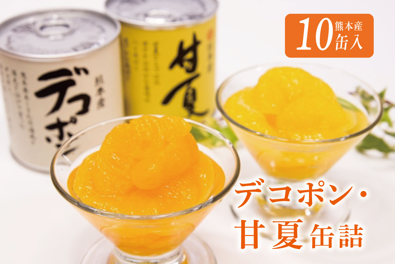B10-13 デコポン・甘夏缶詰セット（10缶入）