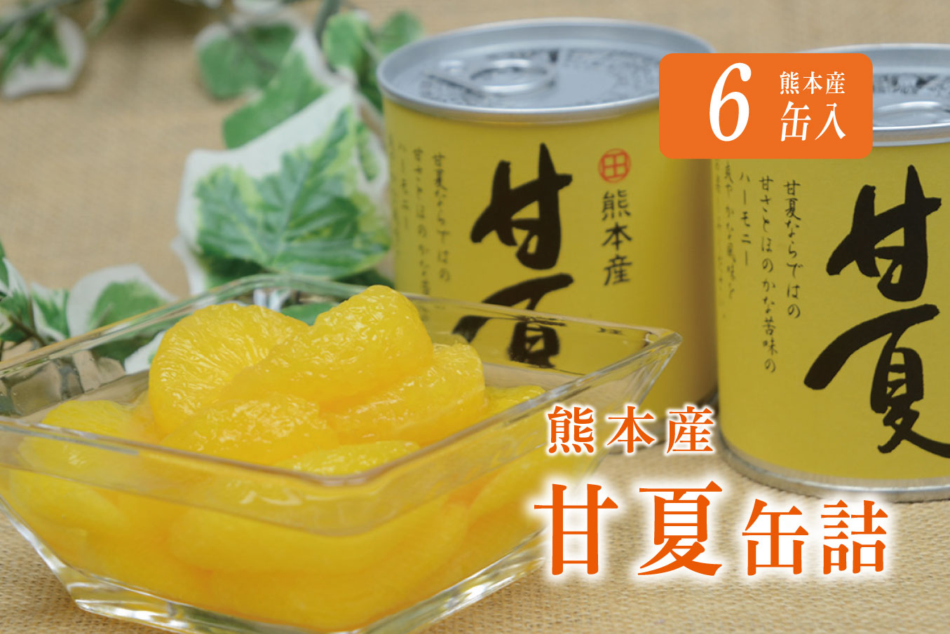 B183-09 甘夏缶詰（6缶入）