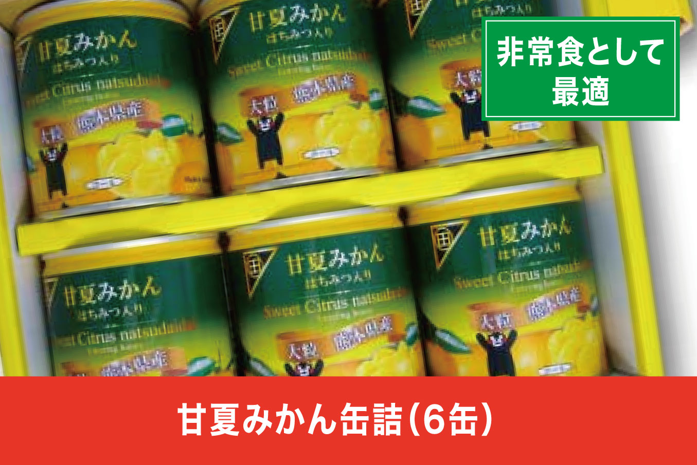 B206-09 甘夏みかん缶詰（6缶入）