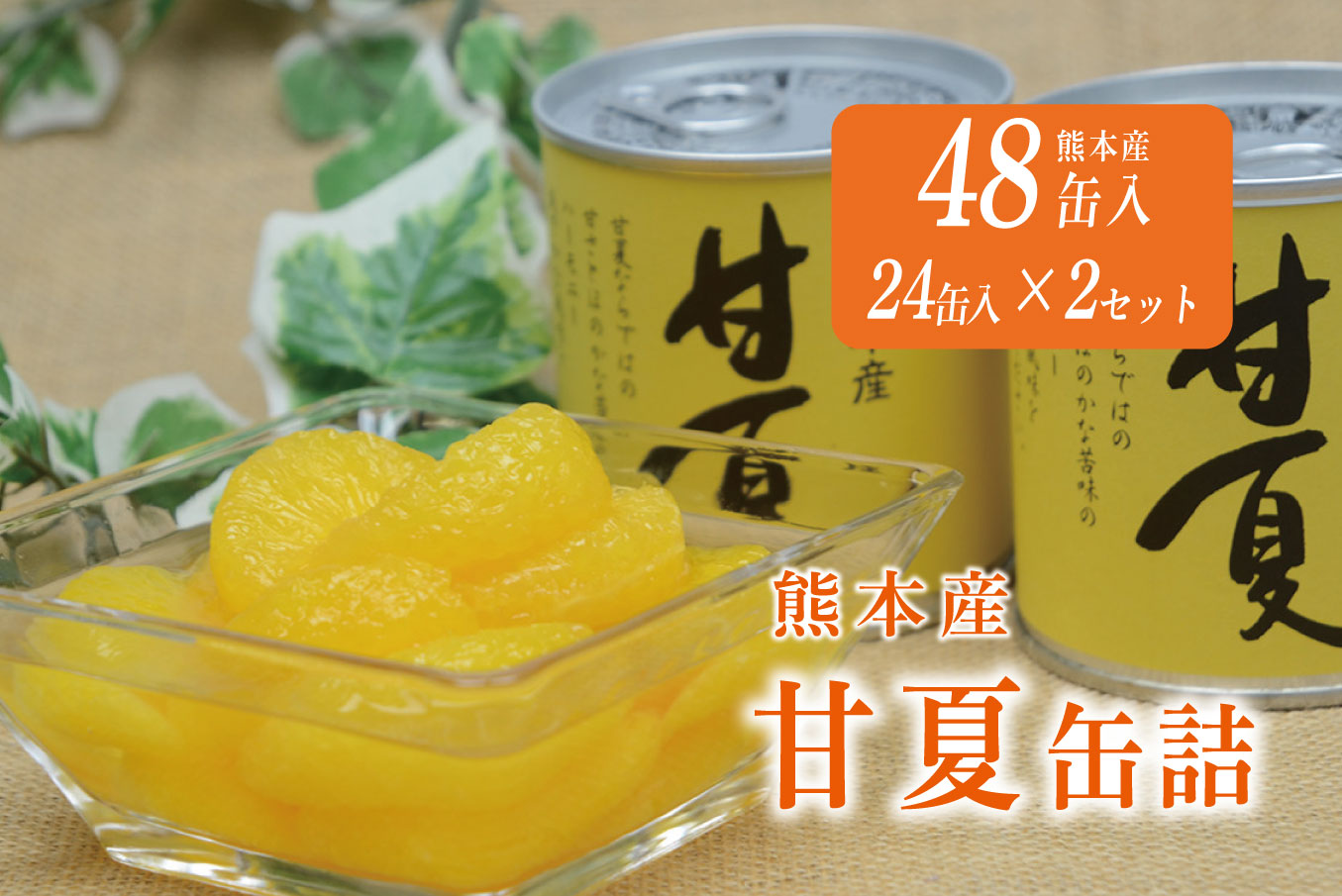 B242-50 甘夏缶詰（24缶入×2ケース）