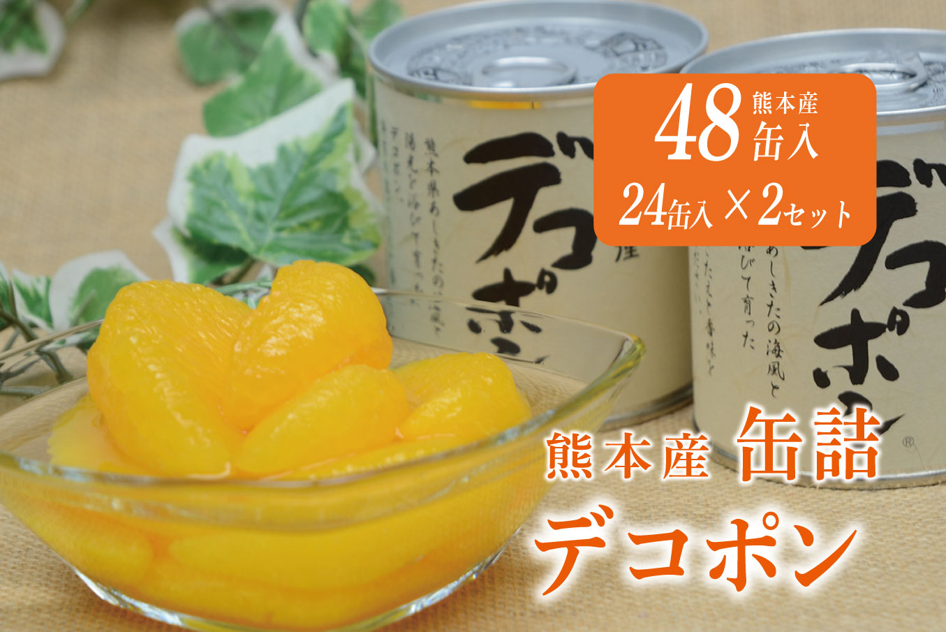 B243-50 デコポン缶詰（24缶×2ケース）
