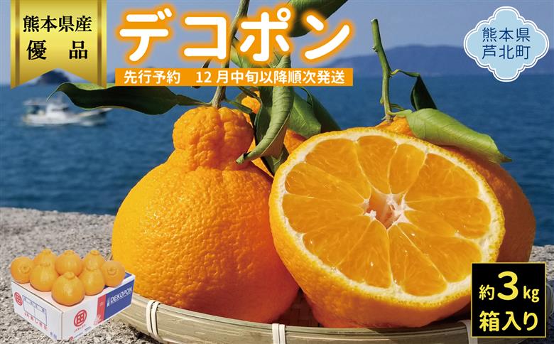 B26-16ハウスデコポン3㎏