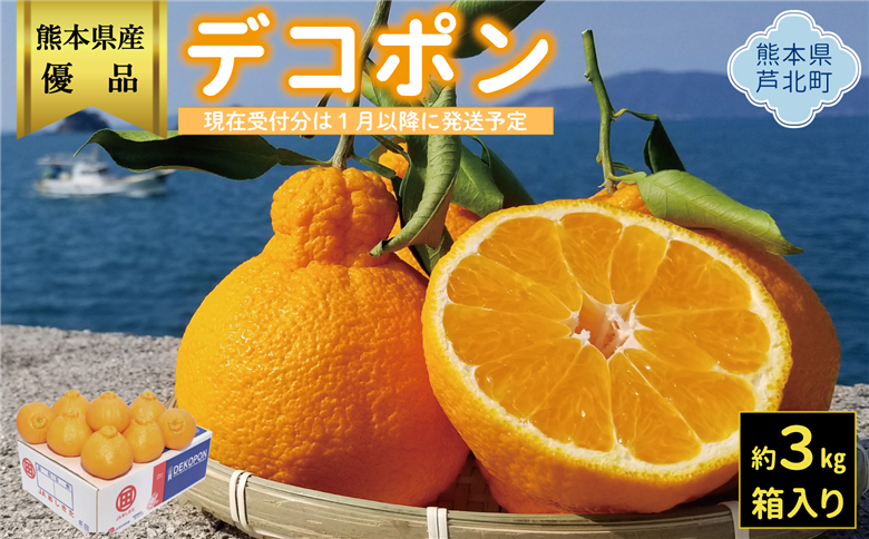 B26-16ハウスデコポン3㎏