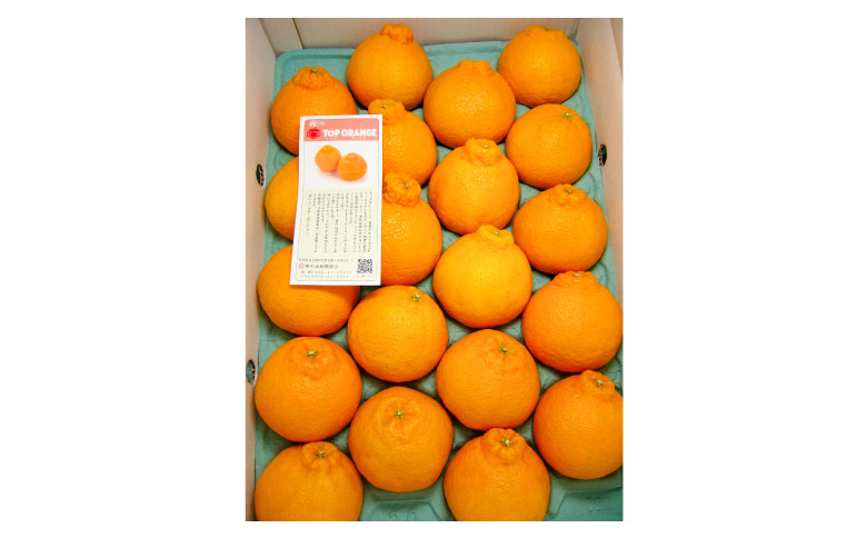 B356-13 無加温ハウス栽培トップオレンジ(不知火)　9玉入り