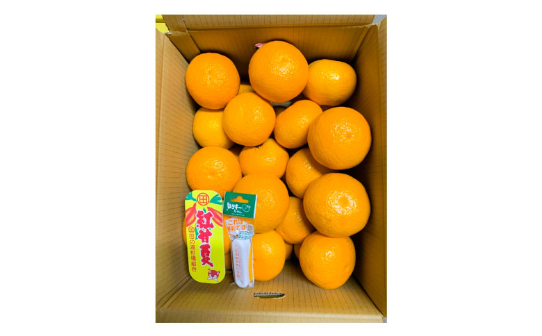 B359-08 紅甘夏　優L　12玉