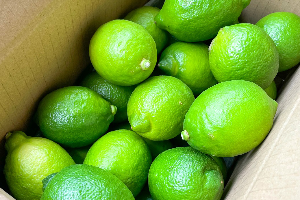 B362-07 【訳あり】グリーンレモン　約３kg