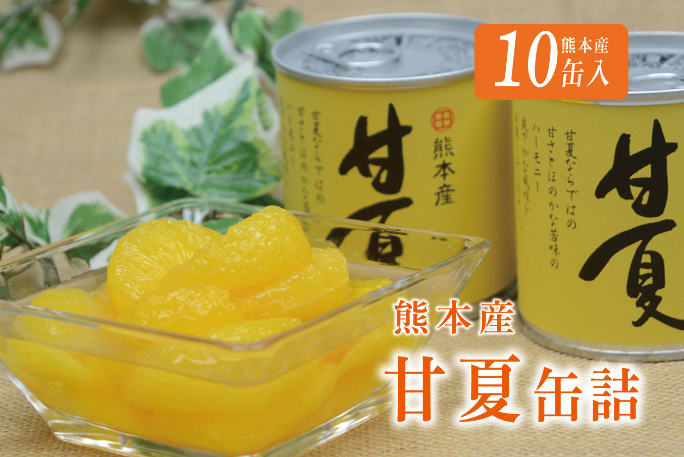 B45-13 甘夏缶詰（10缶入）