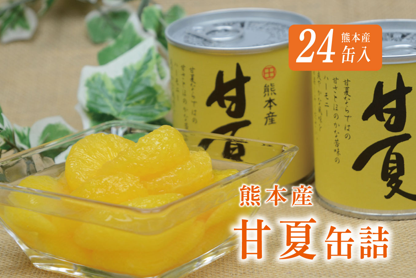 B46-26 甘夏缶詰（24缶入）