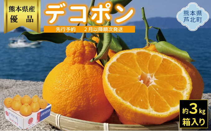 B5-12 露地デコポン3㎏