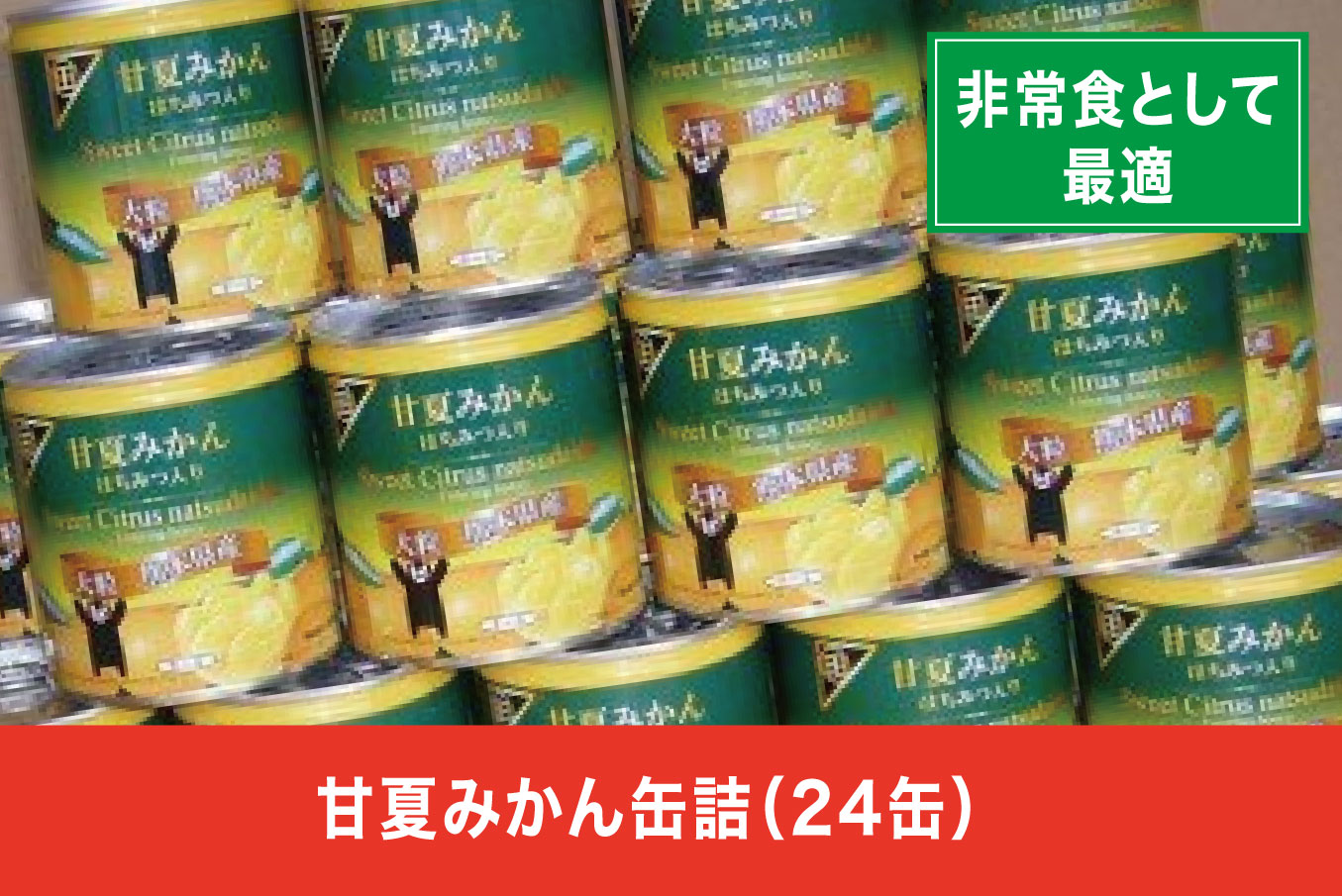 B83-26 甘夏みかん缶詰（24缶入）