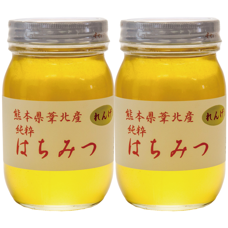 B64-24 れんげ蜂蜜600g×2本セット