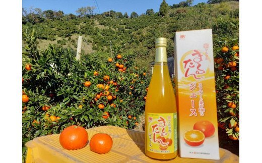 B84-10 まるたんジュース３本セット