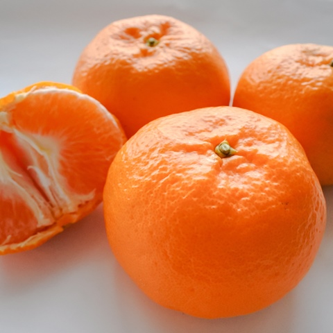 B52-10 西南のひかり5㎏【12月限定のミカン】