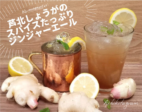 B68-10 Ashikita Spices Ginger（アシキタ スパイス ジンジャー）