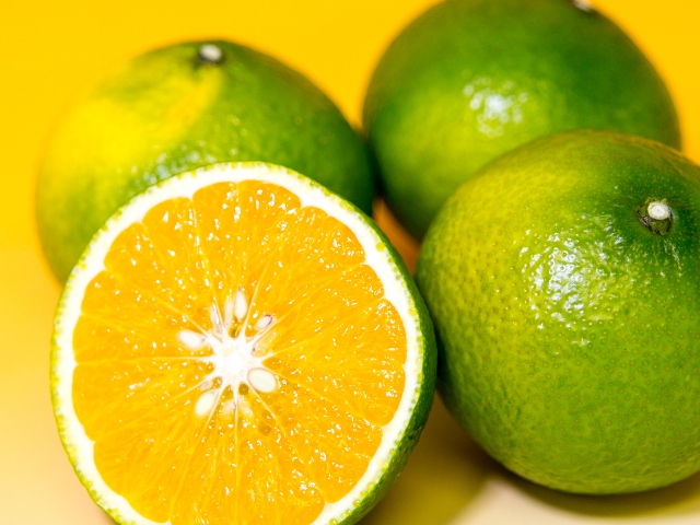 B49-10 スイートスプリング5㎏