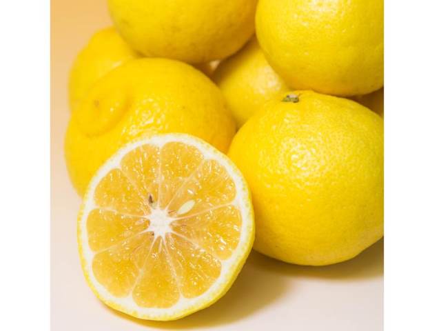 B51-12 はるか（約4.5㎏）