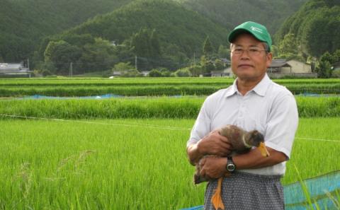 合鴨農法米（７ｋｇ）