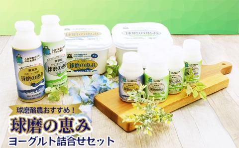球磨酪農おすすめ！球磨の恵み ヨーグルト 詰合せ セット ヨーグルト1kg×2個・のむヨーグルト（450g×2本・150g×6本）※配送不可：沖縄・離島