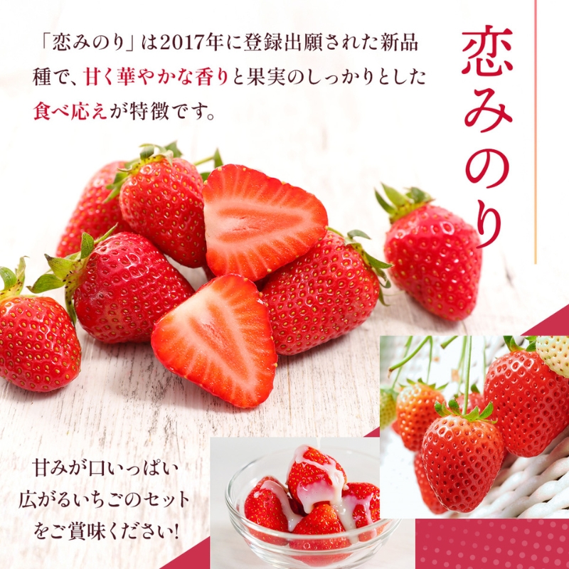 いちご 先行予約 約250g×4P 3Lサイズ 錦町産 恋みのり 苺 イチゴ デザート フルーツ 2025年1月上旬より順次発送 配送不可:離島