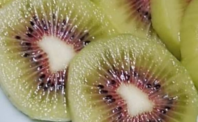 キウイ 先行予約 錦町産 旬のキウイフルーツ 約2kg 約500g×4パック
