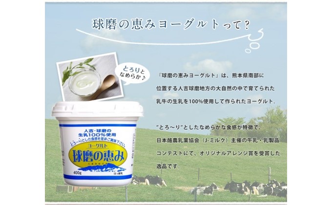 リキュール 特濃ヨーグルト とろ～り くまモンデザイン 箱