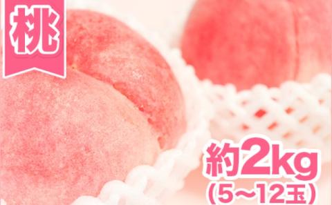 桃 先行予約 錦町産 約2kg 5玉～12玉 6月より順次出荷 もも モモ フルーツ 果物 デザート 配送不可：離島