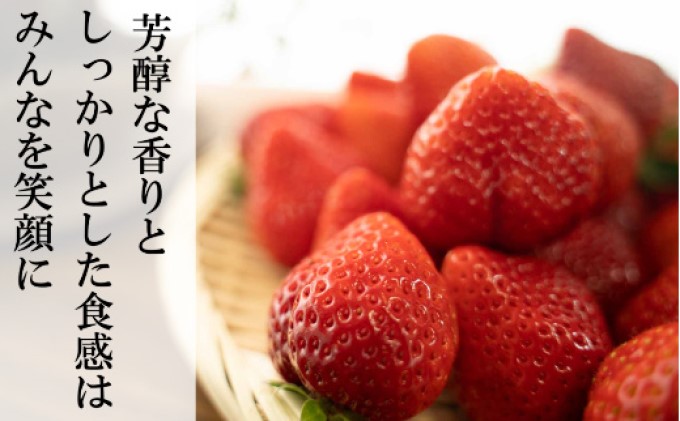 恋みのり 1kg  先行予約 約250g×4P  錦町産 いちご 恋みのり 苺