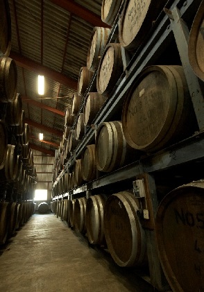 数量限定 ウイスキー NEW POT「KUMA JORAKU」球磨焼酎の蔵元から初のウイスキー