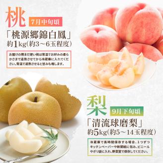 定期便 2回 先行予約 【 桃 白桃 7月頃 梨 9月頃 】白鳳 特製桃源郷錦 約1kg、清流錦梨 約5kg もも モモ なし フルーツ 果物 デザート お楽しみ 2025年発送 配送不可:離島