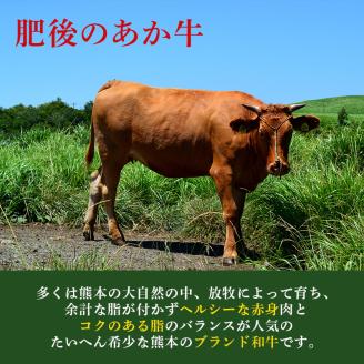 牛肉100％ 国産 冷凍 調理済み あか牛 湯煎 熊本県産 赤牛 ハンバーグ 150g×10個 G-48