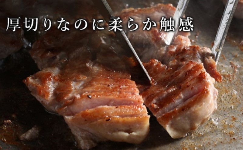 訳あり セット 厚切り 牛タン 塩味 軟化加工 約1kg＋牛タン サイコロステーキ 約100g 牛たん 塩たん 牛 牛肉 肉 お肉 タン 冷凍 焼肉 配送不可 離島