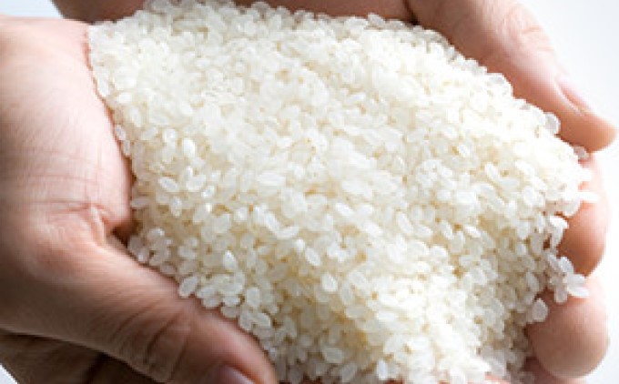 米 10kg 令和5年 にこまる 5kg×2 白米 こめ