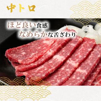 馬刺し 熊本 赤身 霜降り 数量限定 馬刺 大トロ 中トロ 上赤身 コウネ 4種盛り 1700g 豪華絢爛 食べ比べ セット 馬肉 肉 お肉 冷凍