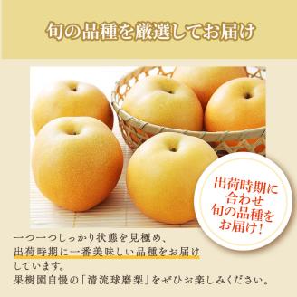 梨 旬 5kg 先行予約 2025年発送 平野果樹園 錦の梨 なし フルーツ 果物 デザート 配送不可:離島