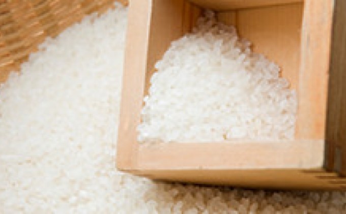 米 10kg 令和6年 ヒノヒカリ 5kg×2 白米 こめ