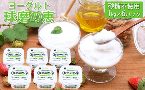 球磨の恵ヨーグルト 1kg×6パック（砂糖不使用）