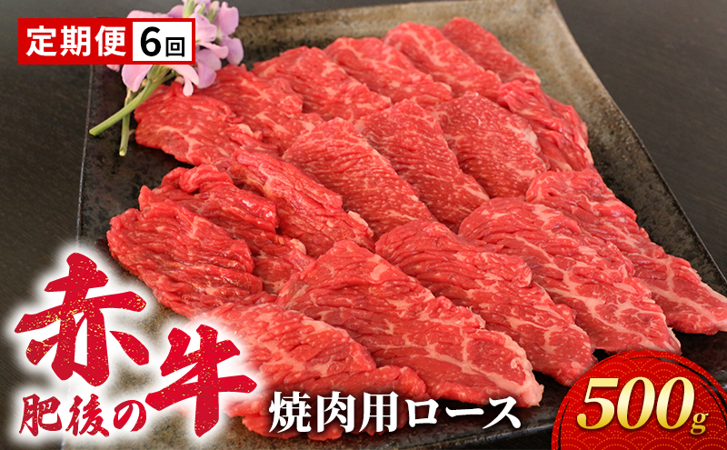 定期便 6ヶ月 あか牛 焼肉 ロース 500g 肥後の赤牛 肉 お肉 牛肉 牛 焼き肉 焼肉用 6回 お楽しみ