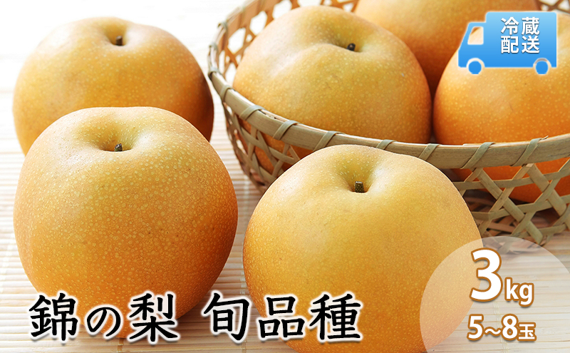 梨 3kg 先行予約 錦の梨 約5玉～8玉 フルーツ なし ナシ 果物 デザート 2025年発送 古里農園 配送不可:離島