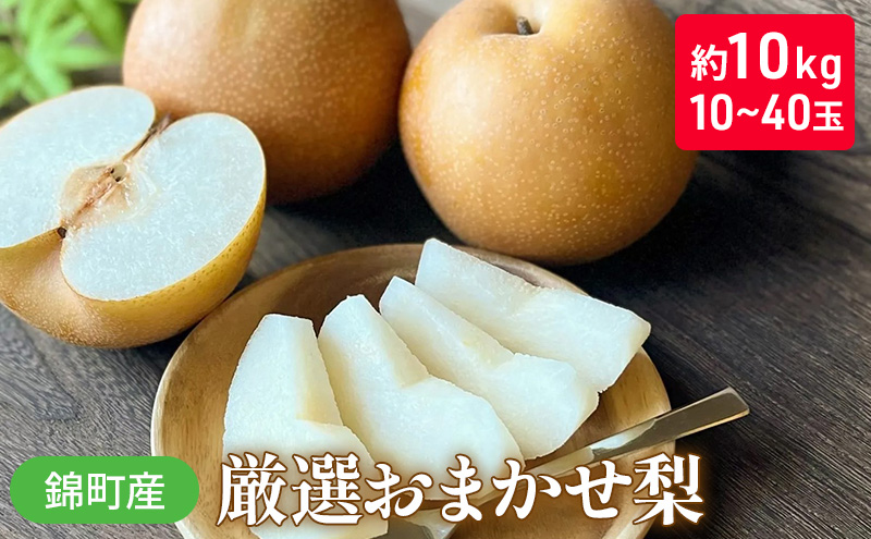 梨 おまかせ 約10kg 豊水・秋月・新高などから最も旬の梨を厳選 錦町産 10～40玉 なし ナシ 果物 くだもの デザート フルーツ ※配送不可：離島