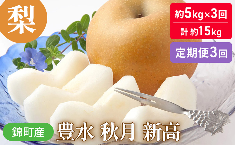 定期便 3回 梨 約5kg×3回 計約15kg 豊水 秋月 新高  錦町産 ナシ 果物 くだもの なし デザート フルーツ お楽しみ ※配送不可：離島