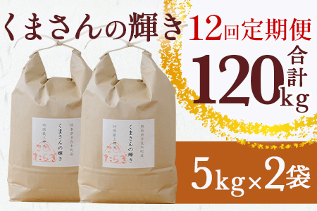【R6年産米 定期便12回】多良木町産 『くまさんの輝き』 10kg(5kg×2袋)×12回 【計 120kg 】 定期便 定期配送 毎月届く 精米 お米 米 艶 粘り 甘み うま味 もちもち 熊本のお米 5kg 10キロずつ 熊本県 多良木町 】 044-0591