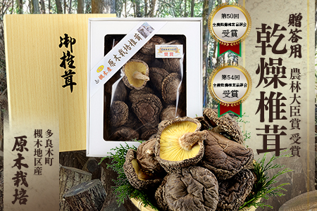 多良木町 槻木産 贈答用 【大葉厚肉】 乾燥 椎茸 205g 026-0025