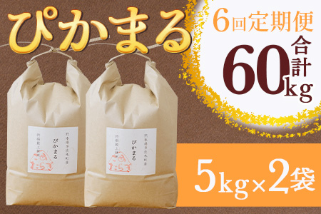 【R6年産米 定期便6回】多良木町産 『ぴかまる』 10kg(5kg×2)×6回 【計 60kg 】 定期便 定期配送 精米 お米 米 艶 粘り 甘み うま味 もちもち 熊本のお米 10キロずつ 60キロ 半年 毎月 熊本県 多良木町 044-0594
