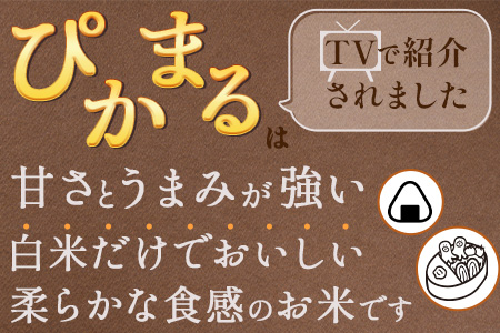 【令和6年産 玄米 】 多良木町産 『ぴかまる』 30kg【 玄米 熊本県 たらぎ お米 米 艶 粘り 甘み うま味 やわらか 熊本のお米 30キロ 栄養価 げんまい 】 044-0599