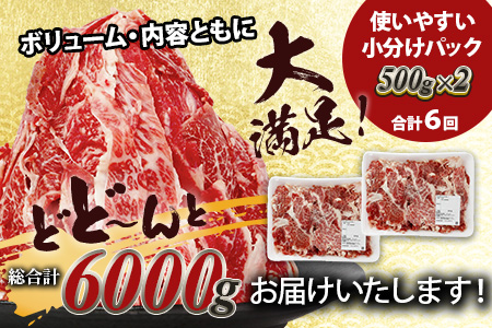 【定期便6回】熊本あか牛 切り落とし 計6Kg (500g×2)×6回 国産 牛肉 冷凍 熊本 熊本県産 あか牛 赤牛 切り落とし 041-0138