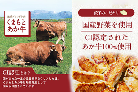 【餃子】 熊本県産 GI認証取得 くまもとあか牛100% 餃子 60個 (20個入り×3)  【 赤牛 あか牛 GI GI認証 餃子 ぎょうざ ギョウザ 】 079-0610