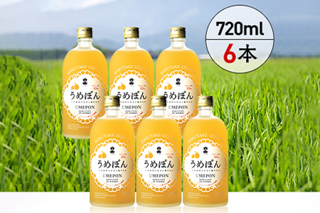 白岳 うめぽん 梅酒 10度 720ml ×6本セット 計4.32L 【 はくたけ 白岳 うめぽん 梅酒 お酒 酒 焼酎 】 018-0215