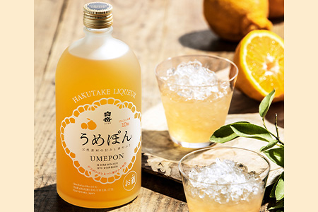 白岳 リキュール 2本セット 計1.44L うめぽん(10度) ゆずもん(8度) 【 焼酎 しょうちゅう お酒 酒 リキュール 白岳 はくたけ ゆず 柚子 うめ 梅 】 018-0205